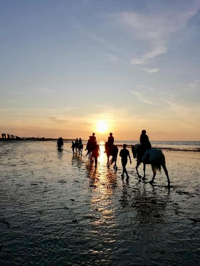 Le Cocon De Nacre - A 300M De La Plage - Wifi كورسول-سور-مار المظهر الخارجي الصورة
